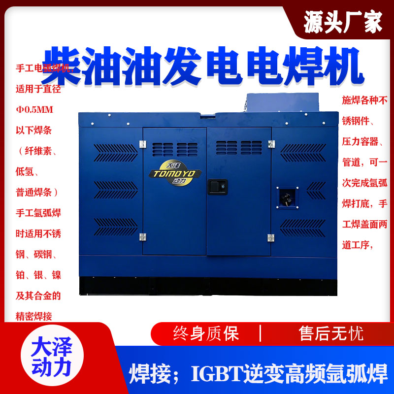 大泽动力250A柴油发电电焊机气保焊